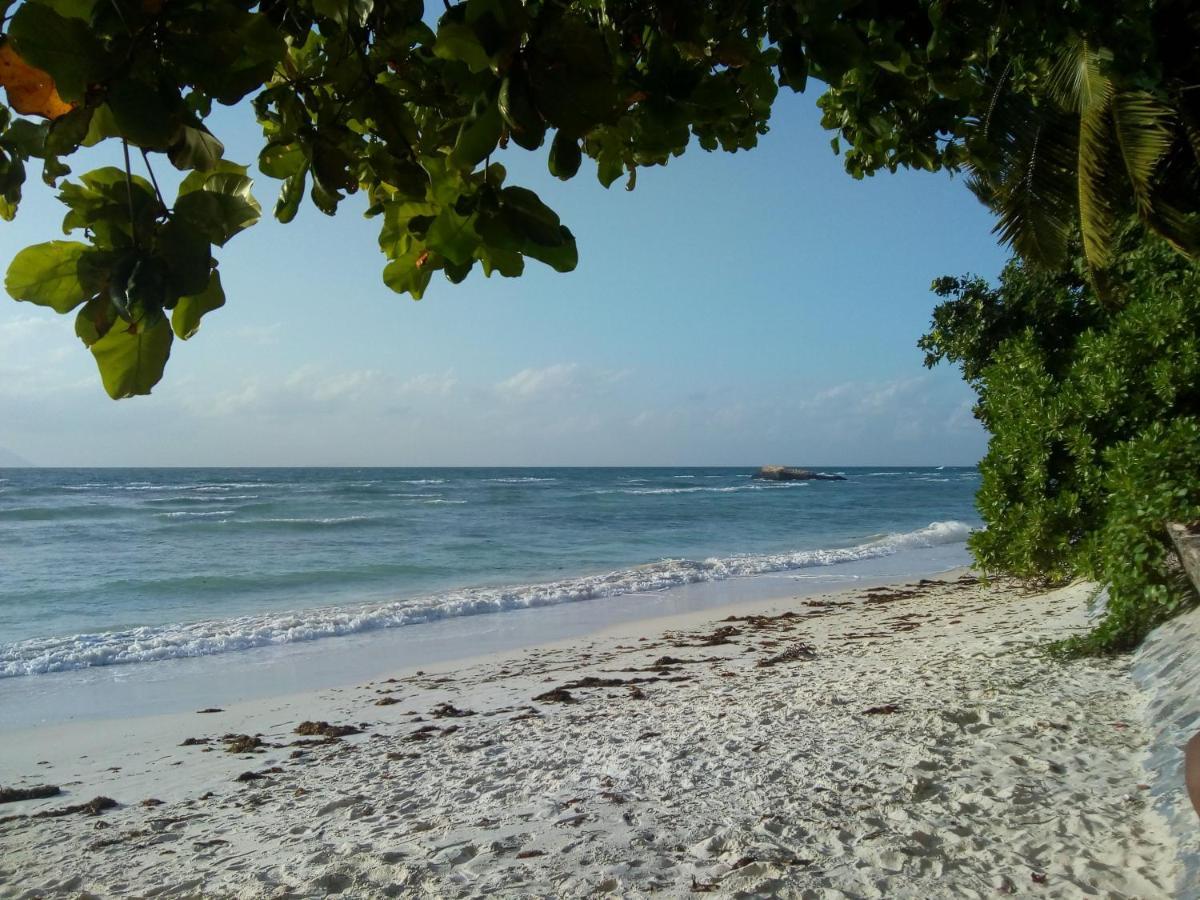 Corner Bay Apartments Beau Vallon,Mahe Victoria Luaran gambar