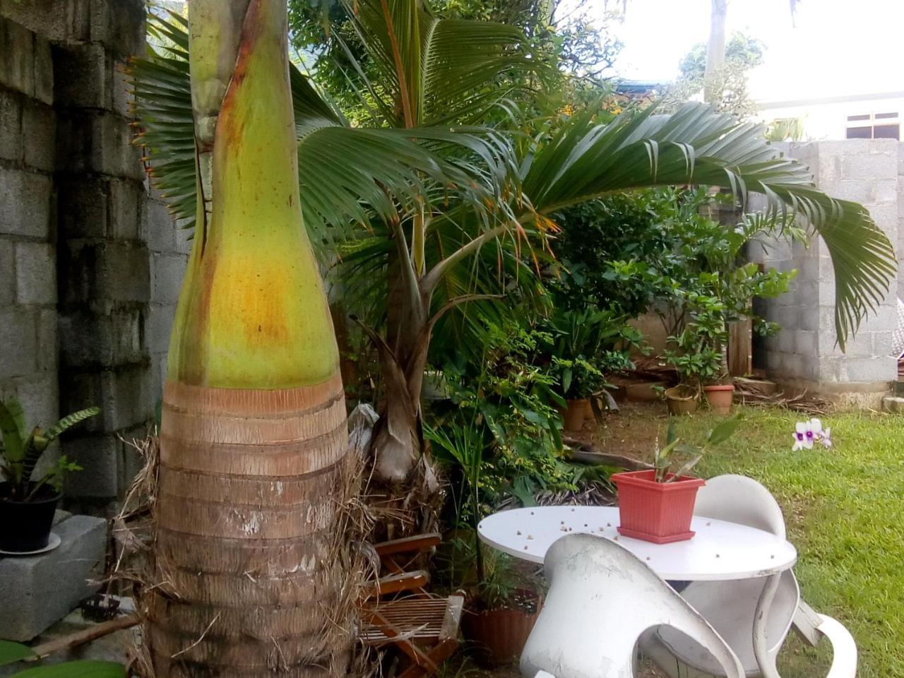 Corner Bay Apartments Beau Vallon,Mahe Victoria Luaran gambar